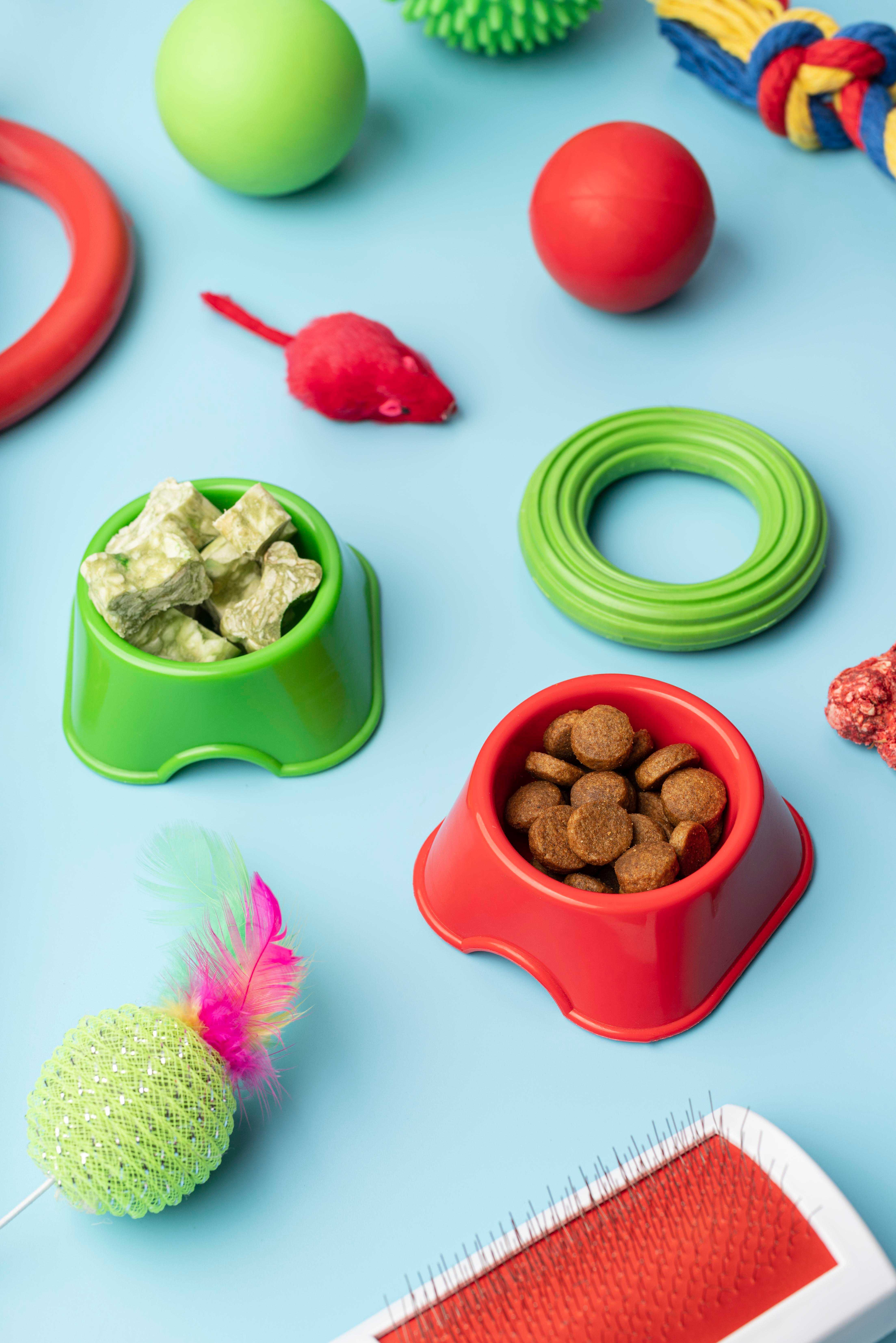 Pet Shop  Landing Image